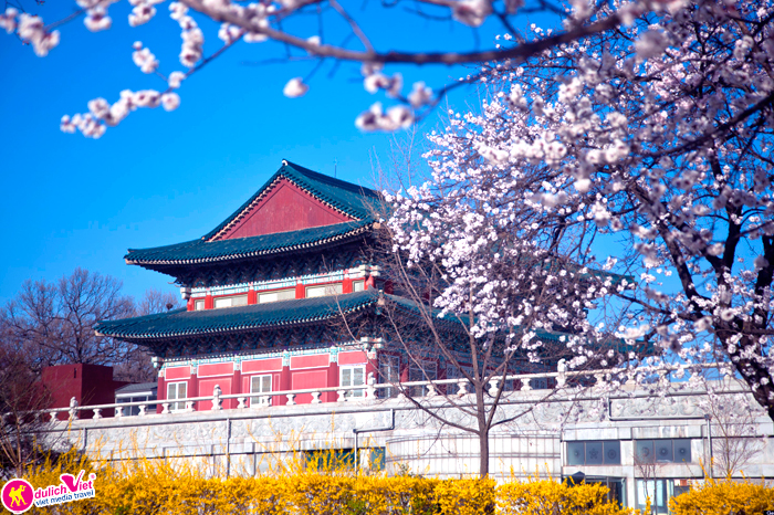 Du lịch Hàn Quốc 4 ngày mùa hoa Anh Đào giá tốt từ Tp.HCM(2015)
